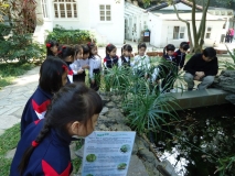 K3 visit to Lung Fu Shan Environmental Education Centre