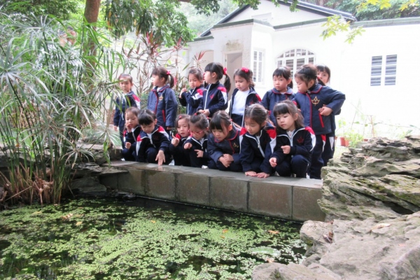 K3 Visit to Lung Fu Shan Environmental Education